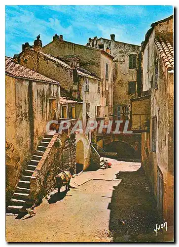 Moderne Karte La Corse Oasis de Beaute Calvi Vieilles maisons dans la basse Ville