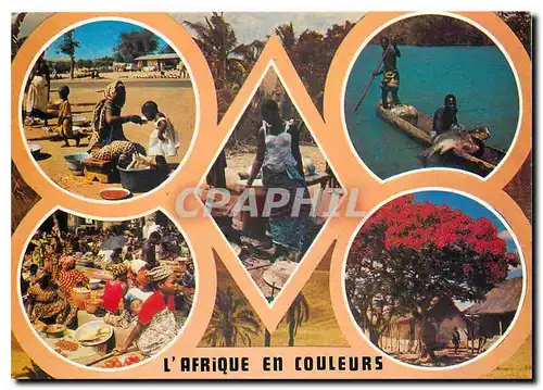 Cartes postales moderne Afrique en Couleurs