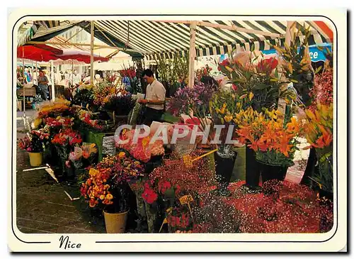 Cartes postales moderne Reflets de la Cote d'Azur Nice A Mmes le Marche aux Fleurs