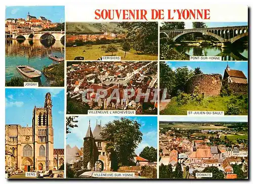 Cartes postales moderne Souvenir de l'Yonne Joigny Cerisiers Pont sur Yonne St Julien du Sault Villeneuve Sens Domats