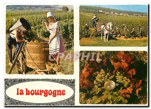 Cartes postales moderne La Bourgogne