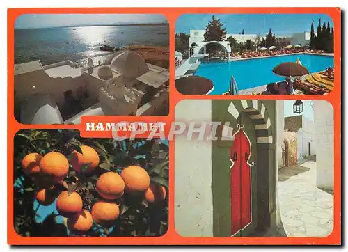 Moderne Karte Hammamet et l'Hotel les Orangers