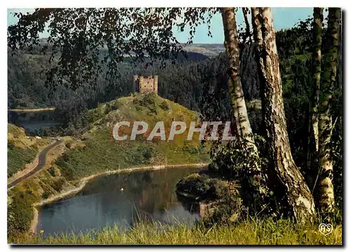 Cartes postales moderne L'Auvergne Pittoresque Site et Chateau d'Alleuze dominant la Truyere