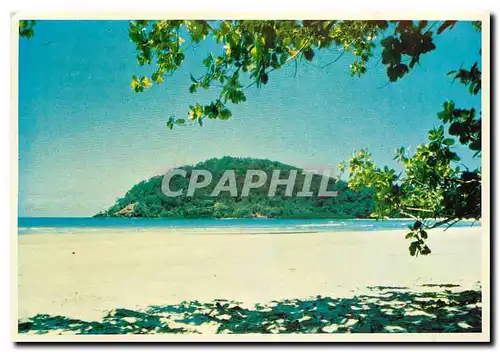 Cartes postales moderne Cape Tribulation NQ