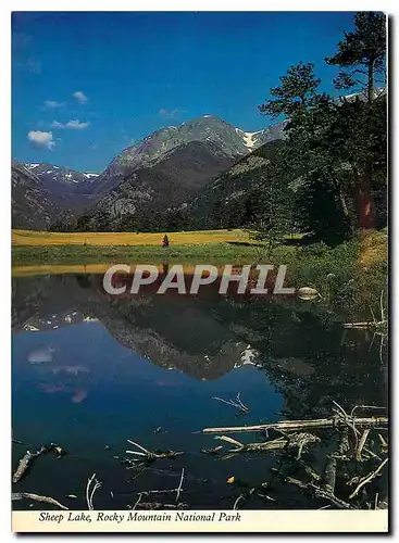 Cartes postales moderne Sheep Lake Rocky Mountain National Park