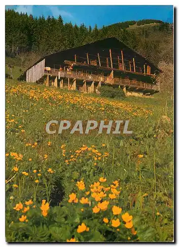 Cartes postales moderne Val d'Abondance Hte Savoie