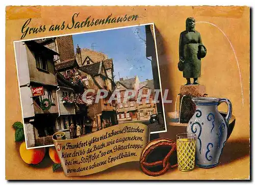 Cartes postales moderne Frankfurt Am Main Sachsenhausen