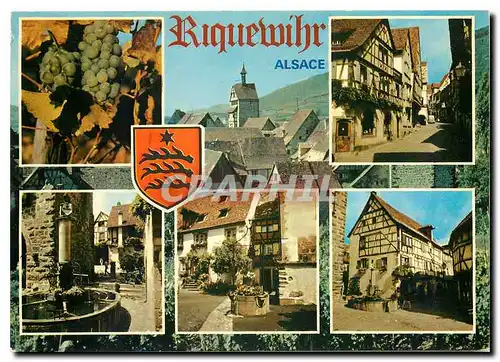 Cartes postales moderne Riquewihr Haut Rhin