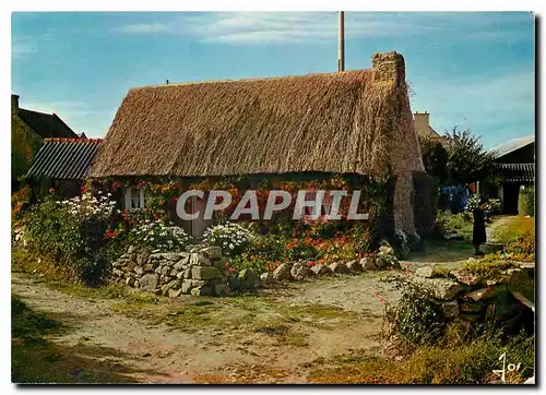 Moderne Karte La Bretagne Couleurs Chaumiere bretonne fleurie