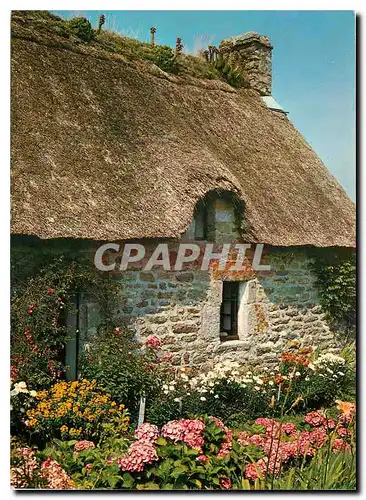 Cartes postales moderne La Bretagne Pittoresque Chaumiere Fleurie