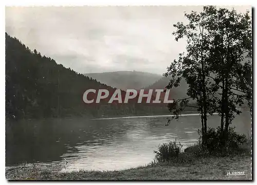 Moderne Karte Lac de Longemer Au fond le Hohneger