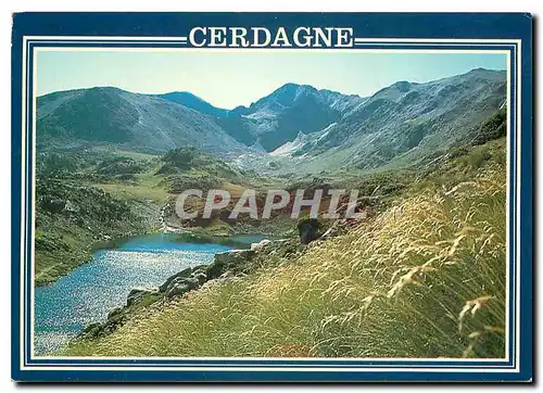 Cartes postales moderne Cerdagne Le Lac du Castella et le pic Carlit
