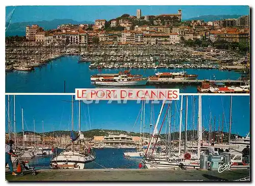 Cartes postales moderne Le Port de Cannes Cannes Am