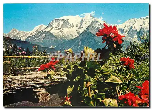 Cartes postales moderne Le Bettex Panorama sur la chaine du Mont Blanc