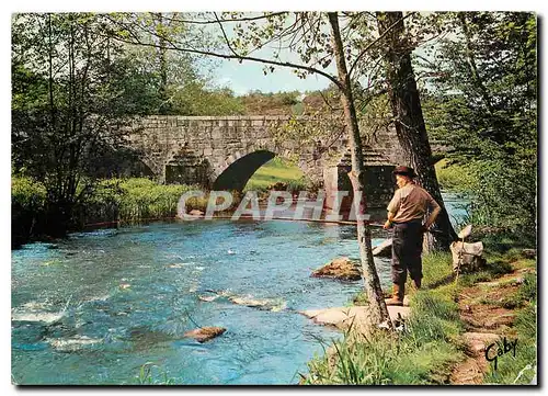 Moderne Karte Les bords ombrageux de riviere