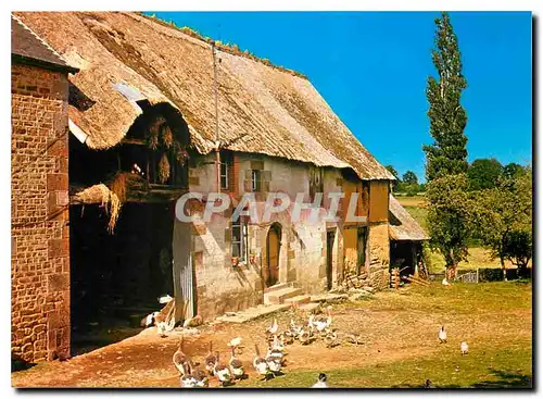 Cartes postales moderne Paysge Normand