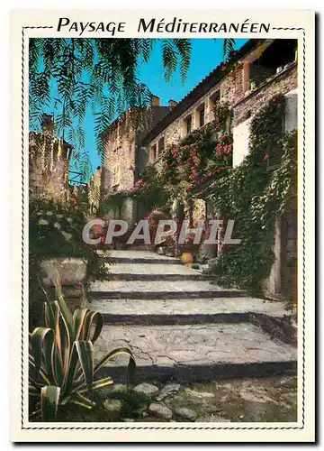 Cartes postales moderne Cote Mediterraneenne Provence Une vieille rue fleurie