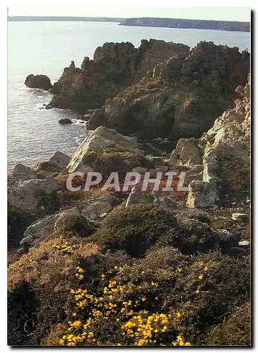 Cartes postales moderne Presqu'ile de Crozon Finistere La core pres du chateau de Binart