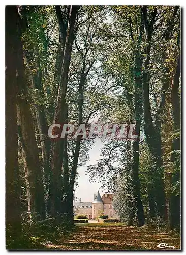 Moderne Karte Ricey Bas Aube L'allee des Platanes