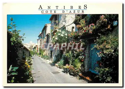 Cartes postales moderne Antibes Alpes Maritimes Vieille rue fleurie