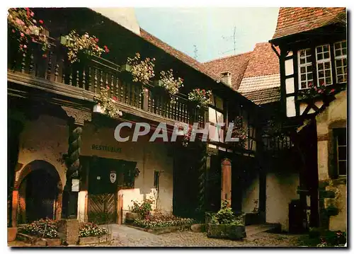 Cartes postales moderne Riquewihr Alsace Maison Liebrich