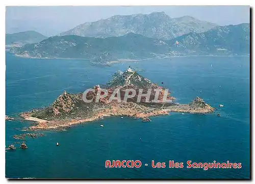 Moderne Karte Ajaccio Les Iles Sanguinaires