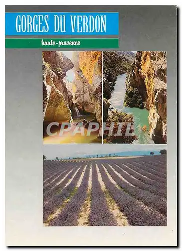 Cartes postales moderne Gorges du Verdon Haute Provence