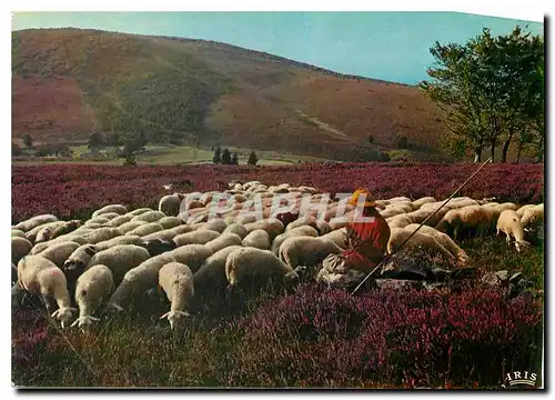 Moderne Karte Le Limousin Touristique Les Monedieres