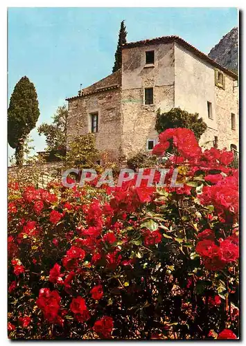 Moderne Karte Douce France Vieilles pierres et fleurs de l'Arriere Pays Mediterraneen