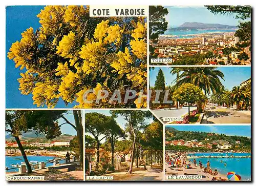 Moderne Karte Souvenir de la Cote Varoise Toulon Carqueiranne Le Lavandou Hyeres La Capte