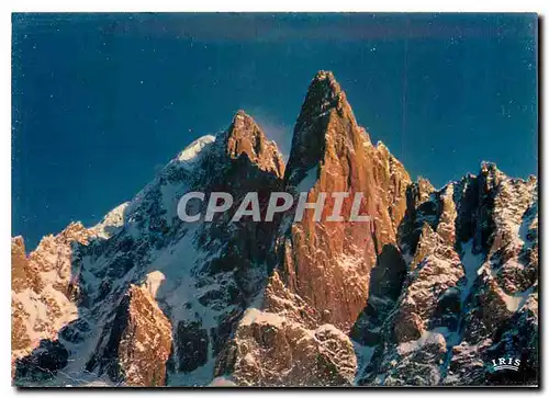 Cartes postales moderne Chamonix Mont Blanc La Verte