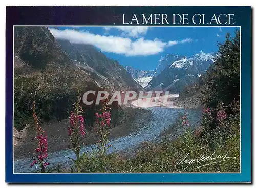 Cartes postales moderne Chamonix Haute Savoie La Mer de Glace et les Grandes Jorasses