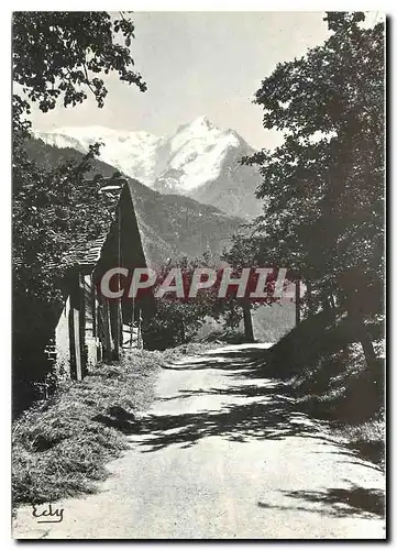 Cartes postales moderne Image de Chez nous La Route de l'alpage