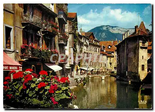 Cartes postales moderne Annecy La Venise Savoyarde Le Vieux quartiers