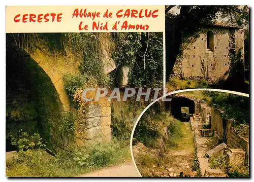 Cartes postales moderne Cereste Alpes de Haute Provence Le Nid d'Amour et l'Abbaye de Carluc