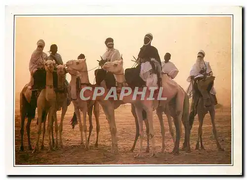 Moderne Karte Niger Teguidda N'Tessount