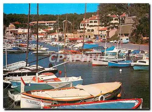 Cartes postales moderne Saint Cyr les Lecques La Madrague Vue du Port