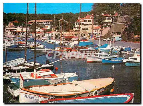 Cartes postales moderne Saint Cyr les Lecques La Madrague Vue du port