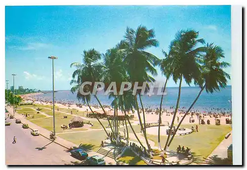 Cartes postales moderne Maceio Os Famoso Sete Coqueiros e a Linda Praia de Pajucara