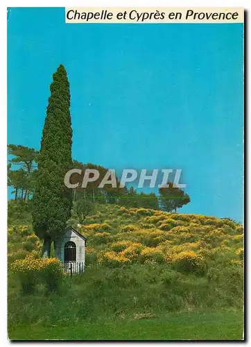 Cartes postales moderne Cote d'Azur Chapelle et Cypres en Provence