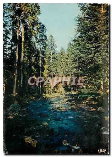 Cartes postales Gerardmer Le Pont des Fees