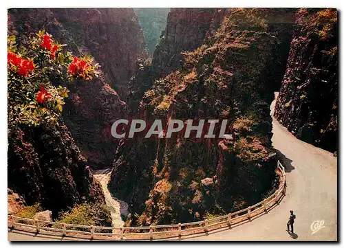 Cartes postales Gorges du Daluis Circuit hardiment trace dans des schistee rouges