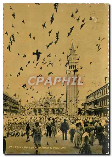 Cartes postales Venezia Piazza S Marco e Piccioni