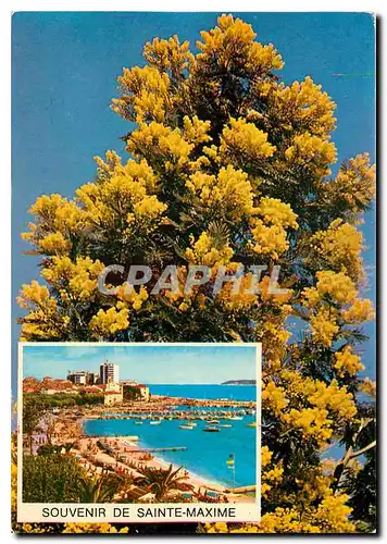 Cartes postales Souvenir de Sainte Maxime