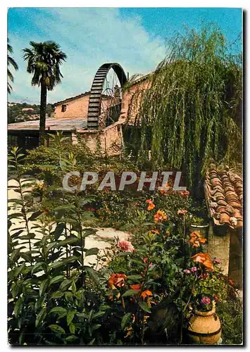 Cartes postales moderne Vieux Moulin a Huile du Midi Mediterraneen