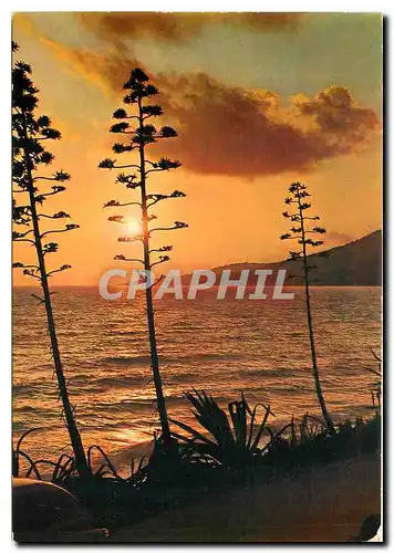 Cartes postales moderne Soleil Couchant sur La Meditarranee