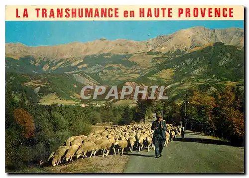 Moderne Karte La Transhumance en Haute Provence