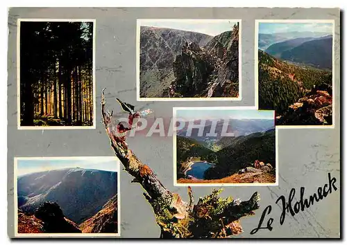 Cartes postales moderne Les Hautes Vosges Massif du Hohneck