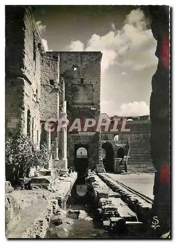 Cartes postales moderne Orange Vaucluse Le Theatre antique ses douves