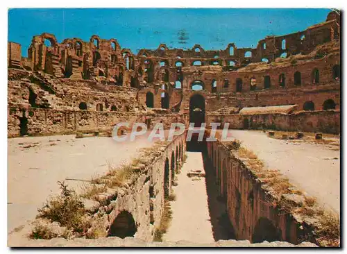 Cartes postales moderne El Jem L'amphitheatre romain